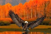 Kinh ngạc vẻ "đẹp từng centimet" của tự nhiên