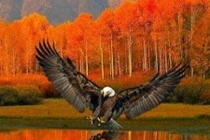 Kinh ngạc vẻ "đẹp từng centimet" của tự nhiên