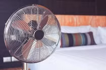 5 thói quen khi dùng quạt vào mùa hè cực kỳ nguy hại