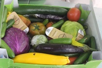 Cận cảnh giỏ quà Tết từ rau quả sạch của nông dân Đà Lạt