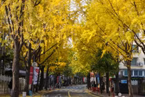 Con đường "tình yêu tan vỡ" khiến các cặp đôi không dám bén mảng