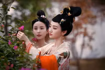 Hậu cung nhà Đường có một chế độ thị tẩm Hoàng đế cực đặc biệt