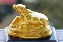 Chuyên gia phong thủy khuyên gia chủ nên rước vật này vào nhà