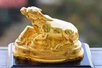 Chuyên gia phong thủy khuyên gia chủ nên rước vật này vào nhà