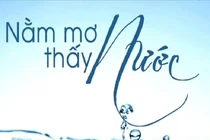 Ngủ mơ thấy nước báo hiệu điều gì? Điềm lành hay dữ?