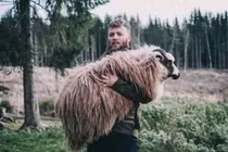 Kiếm tiền tỷ/năm chỉ nhờ nâng cừu