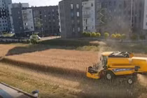 Mảnh ruộng lọt thỏm giữa chung cư, ông nông dân quyết giữ không bán lại