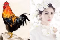 Top 3 con giáp tốt số hơn người, tiền ngập lối đi