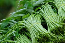 Những loại thực phẩm tiềm ẩn nguy cơ nhiễm chì cao nhất