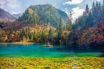 10 khu rừng đẹp nhất thế giới cứ ngỡ chỉ có trong truyện cổ tích