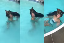 Video: Chủ giả vờ chết đuối, ngỡ ngàng trước hành động của chó
