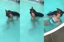 Video: Chủ giả vờ chết đuối, ngỡ ngàng trước hành động của chó