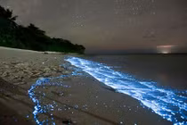 Dải ánh sáng màu xanh phát sáng giữa vùng biển hàng trăm năm