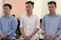 Cựu cán bộ hải quan tráo tang vật ngà voi lĩnh 16 năm tù