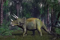 Động vật có vú nhiều khả năng sống sót hơn khi biến đổi khí hậu