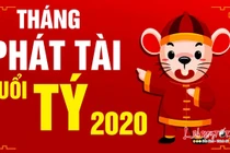 Video: Tháng phát tài tuổi Tý năm 2020, tiền chất đầy nhà tiêu thả ga