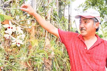 "Đột nhập" vườn lan rừng độc nhất Việt Nam