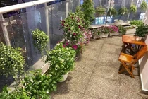 Thân Thúy Hà tiết lộ ban công ngập rau trái, đẹp rụng rời