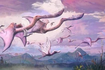 Đáng sợ quái vật vừa nở ra đã biết bay và thành "sát thủ"