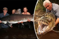 Bắt được cá chình khổng lồ như quái vật thời tiền sử