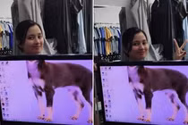 Chồng troll vợ đỉnh cao khiến dân mạng phong "thánh"