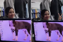 Chồng troll vợ đỉnh cao khiến dân mạng phong "thánh"