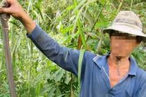 Đánh đu mạng sống để "thu phục" rắn độc