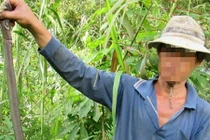 Đánh đu mạng sống để "thu phục" rắn độc