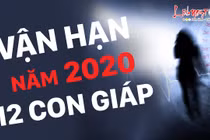 Video: Vận hạn năm 2020 của 12 con giáp, ai đen đủi xem ngay để tránh