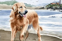 4 con giáp trời càng lạnh càng dễ phát tài, cuối tháng tiền đầy túi