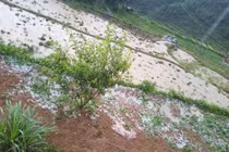 Ảnh: Mưa đá to như quả trứng gà trút xuống nhiều nơi ở miền Bắc