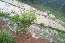 Ảnh: Mưa đá to như quả trứng gà trút xuống nhiều nơi ở miền Bắc