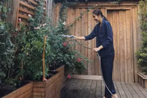 Vườn hoa hồng đẹp như cổ tích của vợ chồng Tăng Thanh Hà