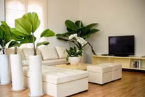 Tuyệt chiêu đơn giản giúp nhà mát rượi trong “phút mốt“