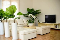 Tuyệt chiêu đơn giản giúp nhà mát rượi trong “phút mốt“