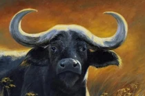 Tân Sửu 2021: 3 con giáp dễ bị tiểu tam chen ngang ngáng đường