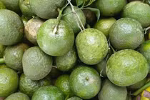 Cam sành vắt nước, món bình dân bỗng thành hàng hot Sài Thành