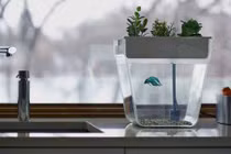 Loạt bình hoa độc đáo khiến ai cũng phải xuýt xoa khi đến chơi nhà