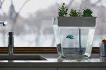 Loạt bình hoa độc đáo khiến ai cũng phải xuýt xoa khi đến chơi nhà