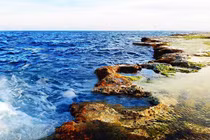 Kỳ thú rạn san hô cổ hóa thạch trên cạn