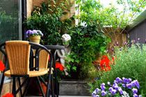 Theo con rể vào khách sạn, bố vợ gặp cảnh bất ngờ