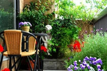 Theo con rể vào khách sạn, bố vợ gặp cảnh bất ngờ