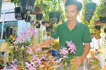 Chàng trai trồng 2.000 giò lan, có 20 loài lan giả hạc quý hiếm