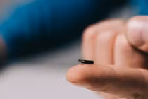 Kinh ngạc "hộ chiếu vaccine" siêu nhỏ, có thể cấy dưới da