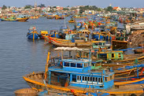 Tỉnh nào lớn nhất Đồng bằng sông Cửu Long? 