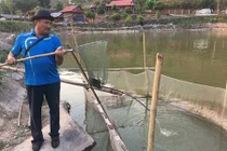 Cụ ông biến khe đá thành ao nuôi cá, lãi 300 triệu/năm