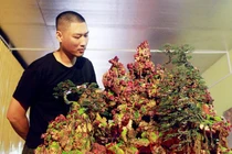 Chiếc bàn gắn hàng nghìn viên đá quý, độc đáo nhất Việt Nam