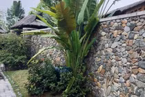 Vợ cao tay trị chồng ngoại tình