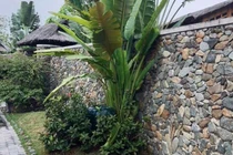 Vợ cao tay trị chồng ngoại tình