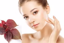 Cách trị nám cho da sáng bằng tía tô có thể thực hiện tại nhà